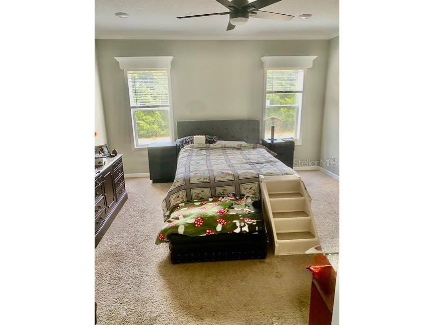 4754 SW 10th Street Bell FL 32619 GC536132 image5