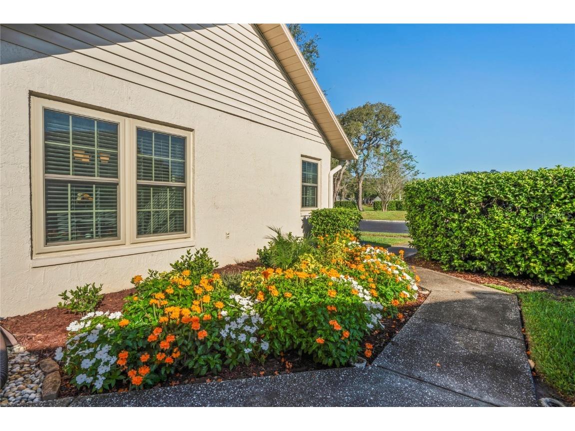 4755 Carrington Court New Port Richey FL 34655 W7879580 image42