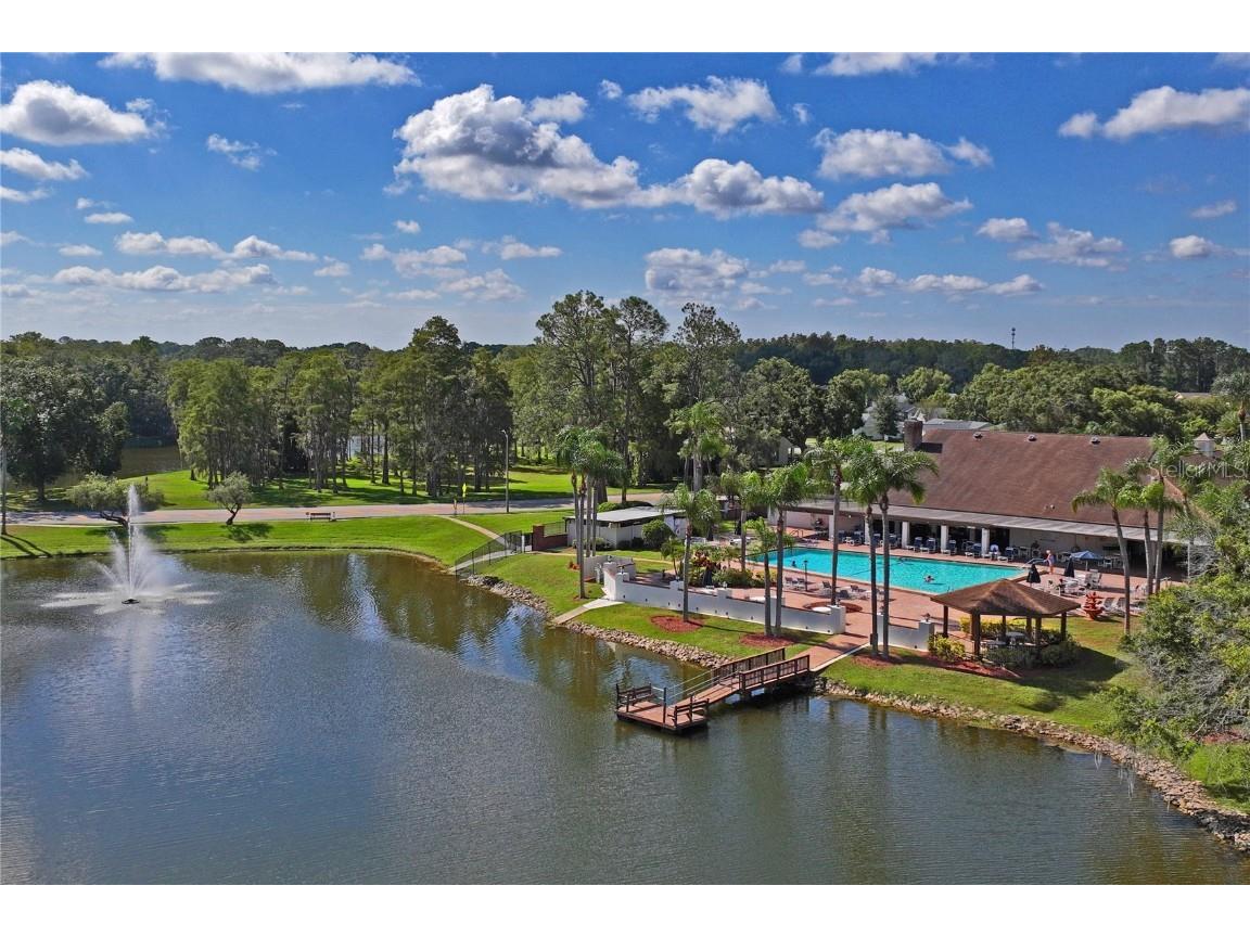 4755 Carrington Court New Port Richey FL 34655 W7879580 image56