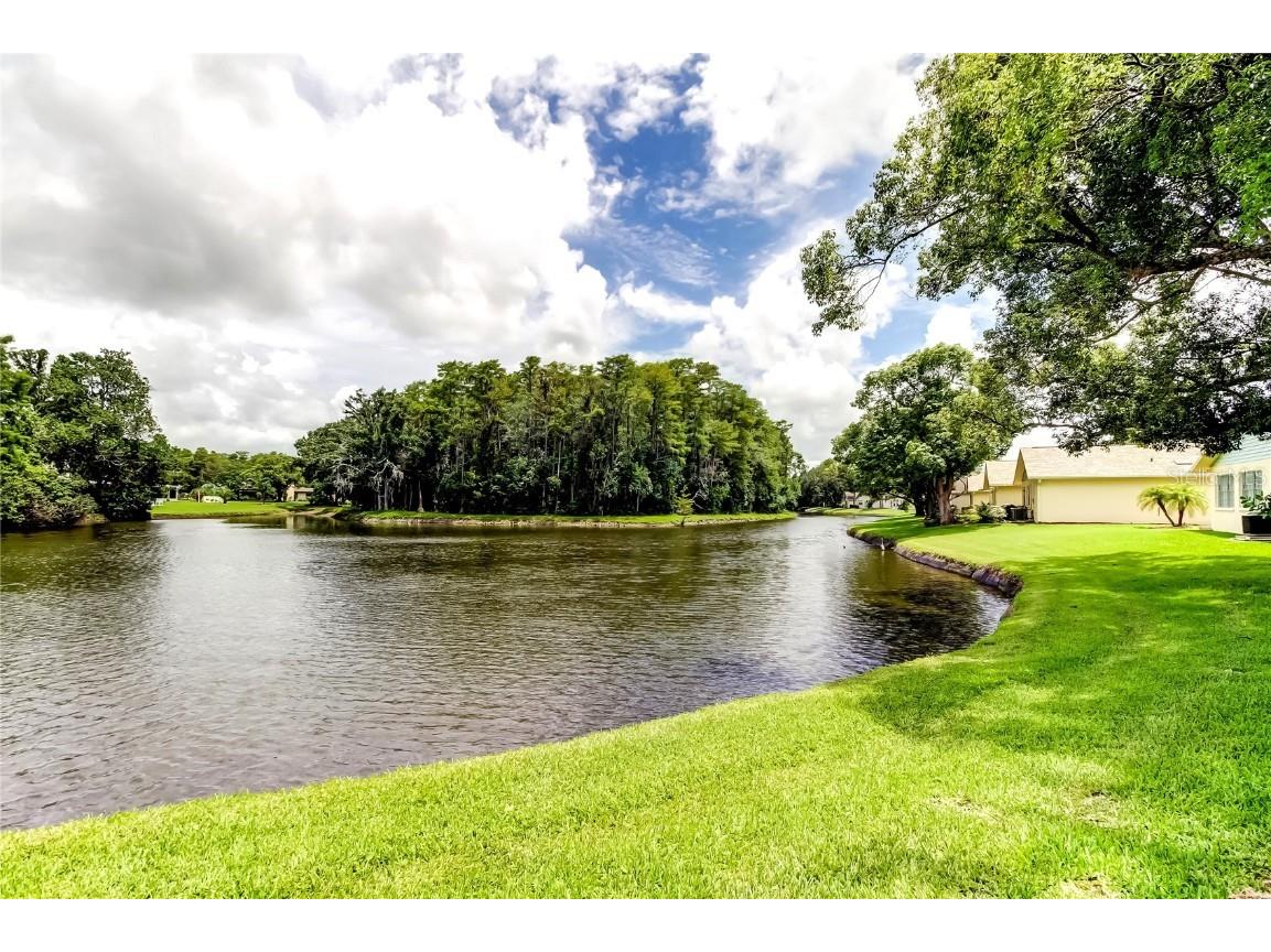 4756 Sheffield Drive New Port Richey FL 34655 W7877099 image23