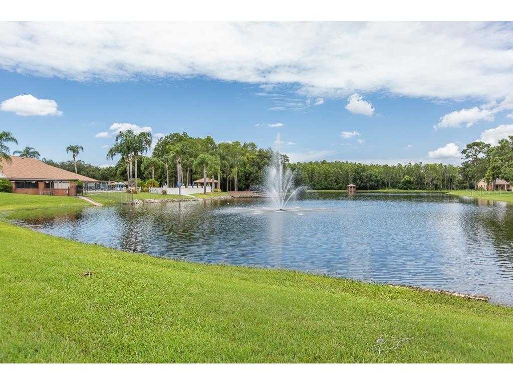 4756 Sheffield Drive New Port Richey FL 34655 W7877099 image26
