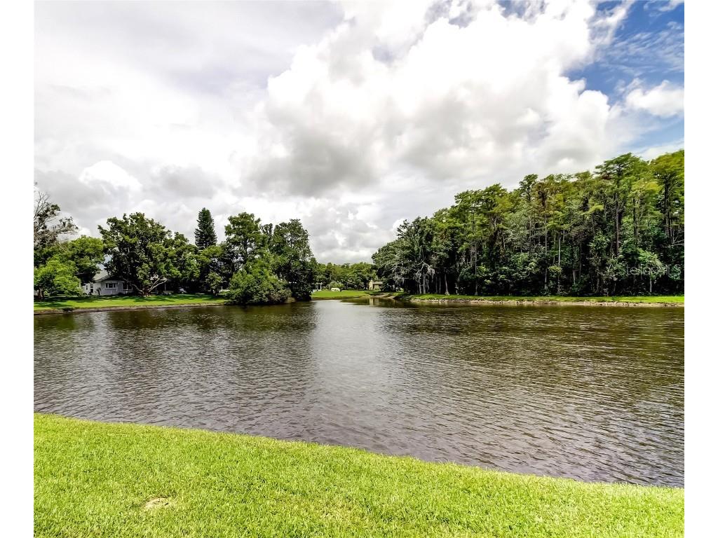 4756 Sheffield Drive New Port Richey FL 34655 W7877099 image3