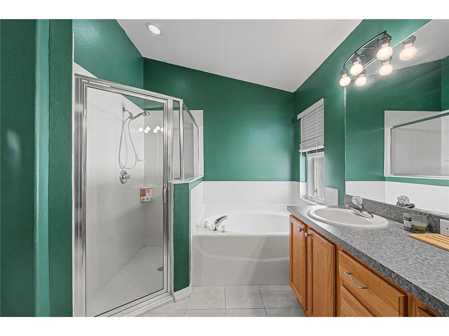 4756 Whispering Wind Avenue Tampa FL 33614 TB8528270 image33