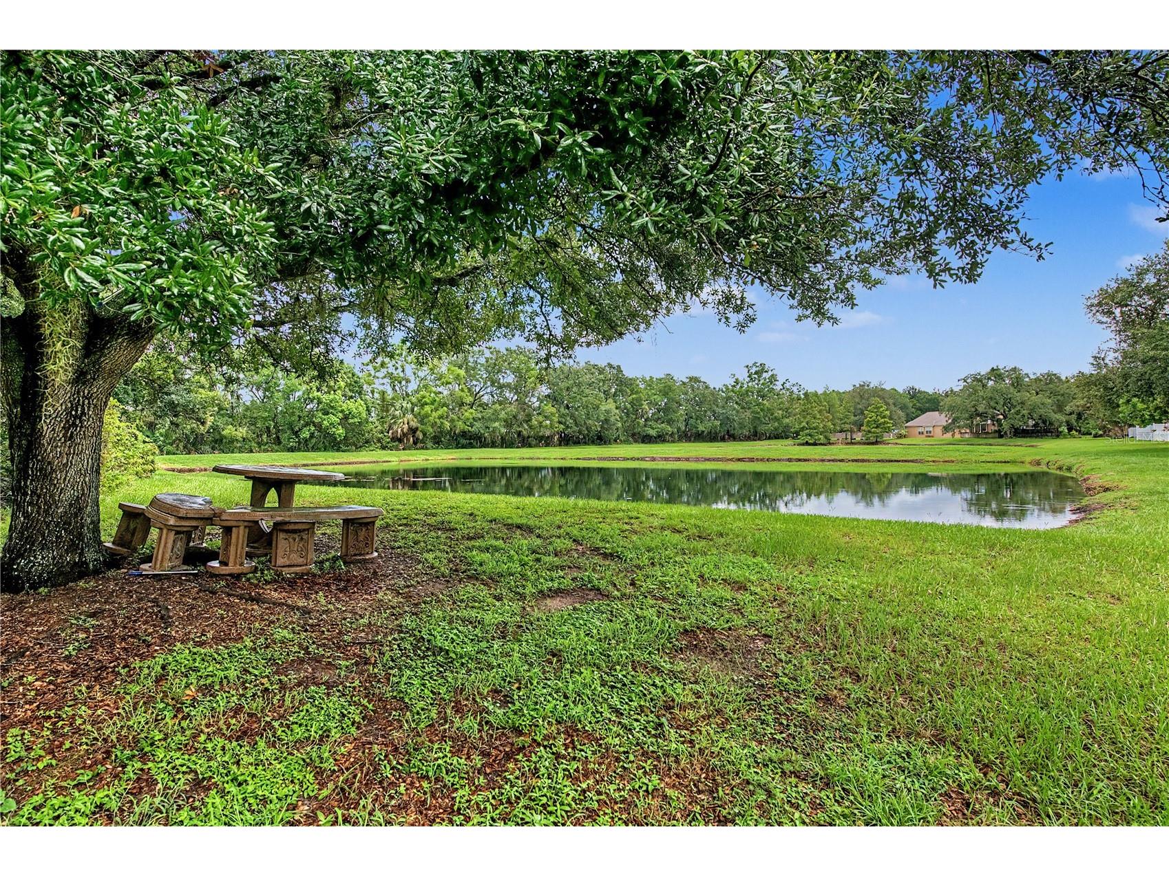 4756 Whispering Wind Avenue Tampa FL 33614 TB8528270 image42