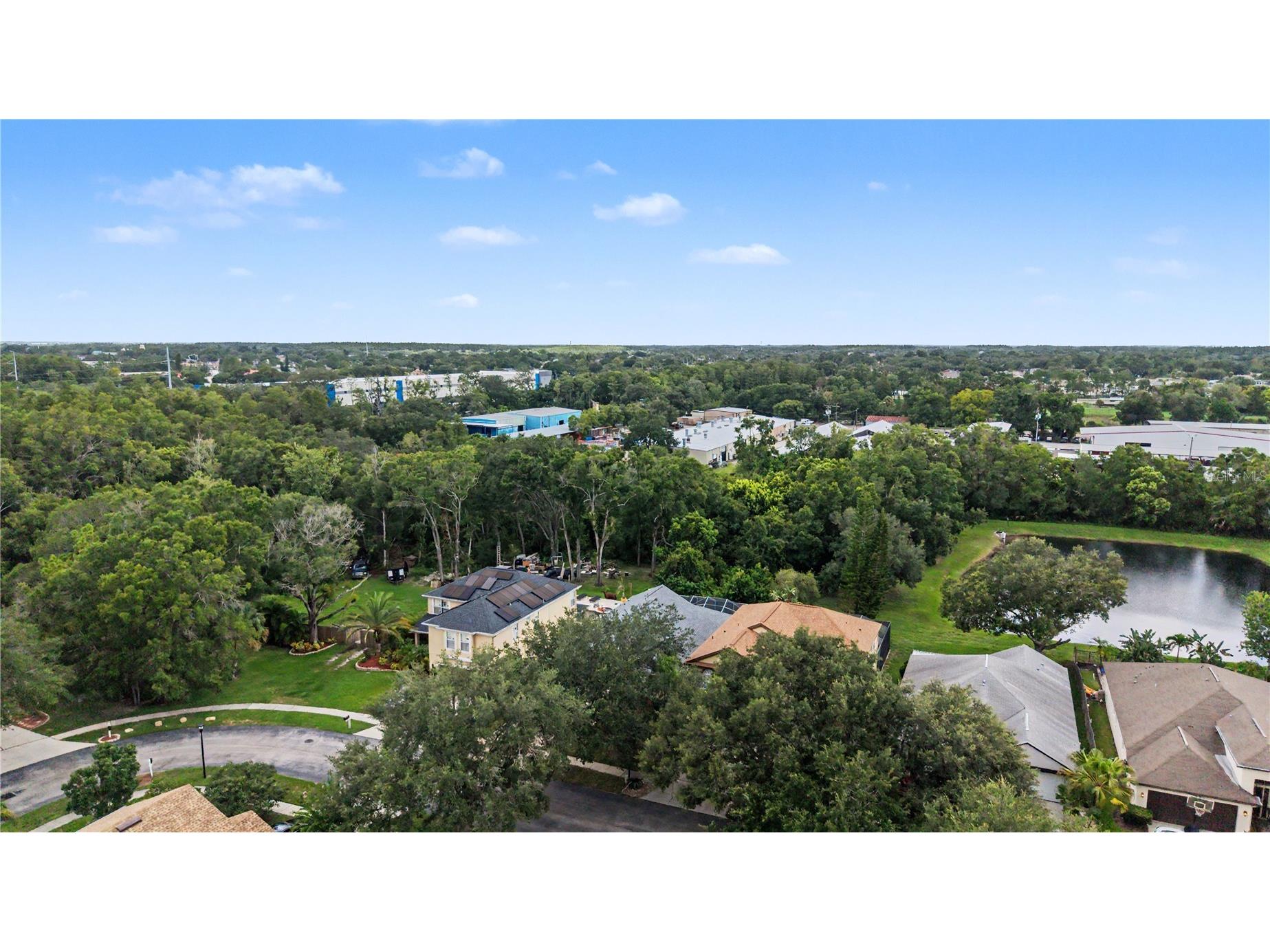 4756 Whispering Wind Avenue Tampa FL 33614 TB8528270 image46