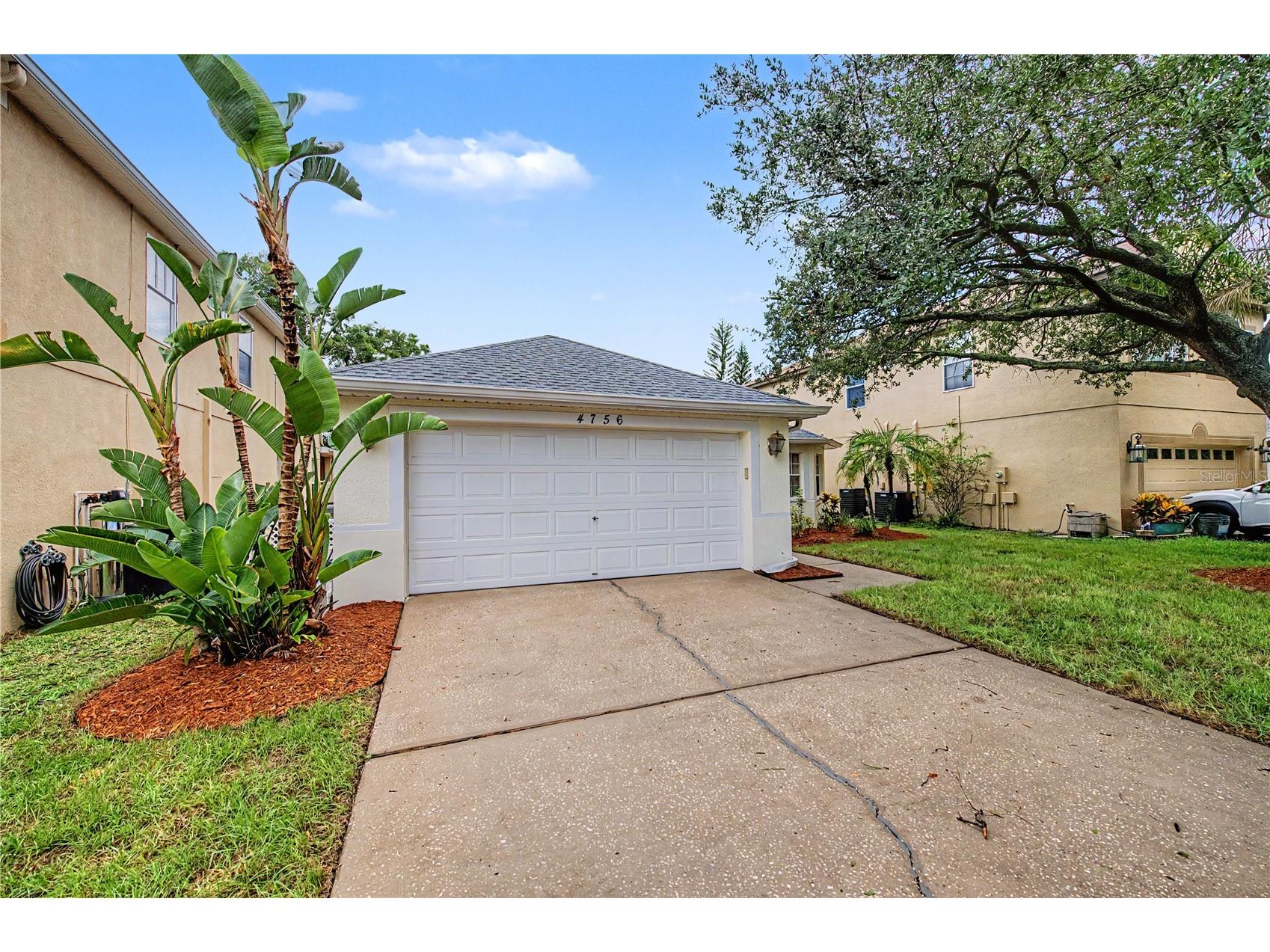 4756 Whispering Wind Avenue Tampa FL 33614 TB8528270 image6