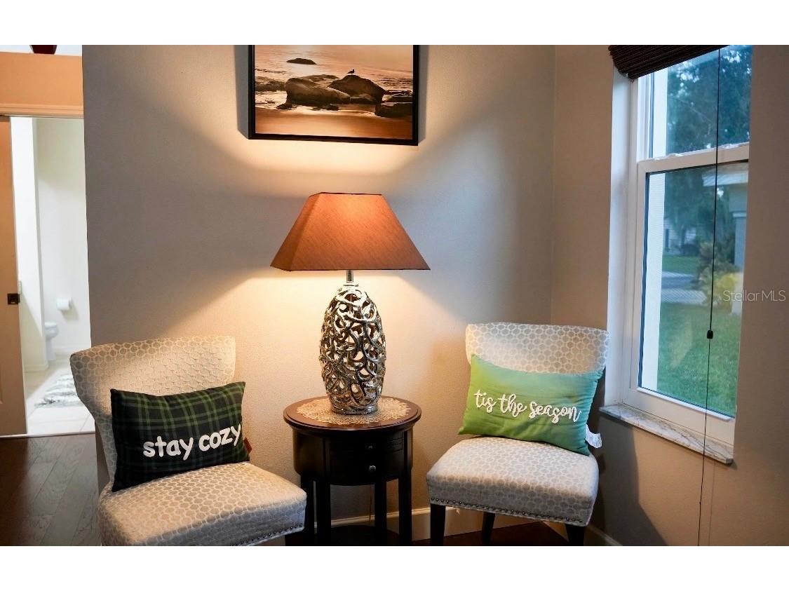 4757 Brayton Terrace S Palm Harbor FL 34685 TB8436593 image34