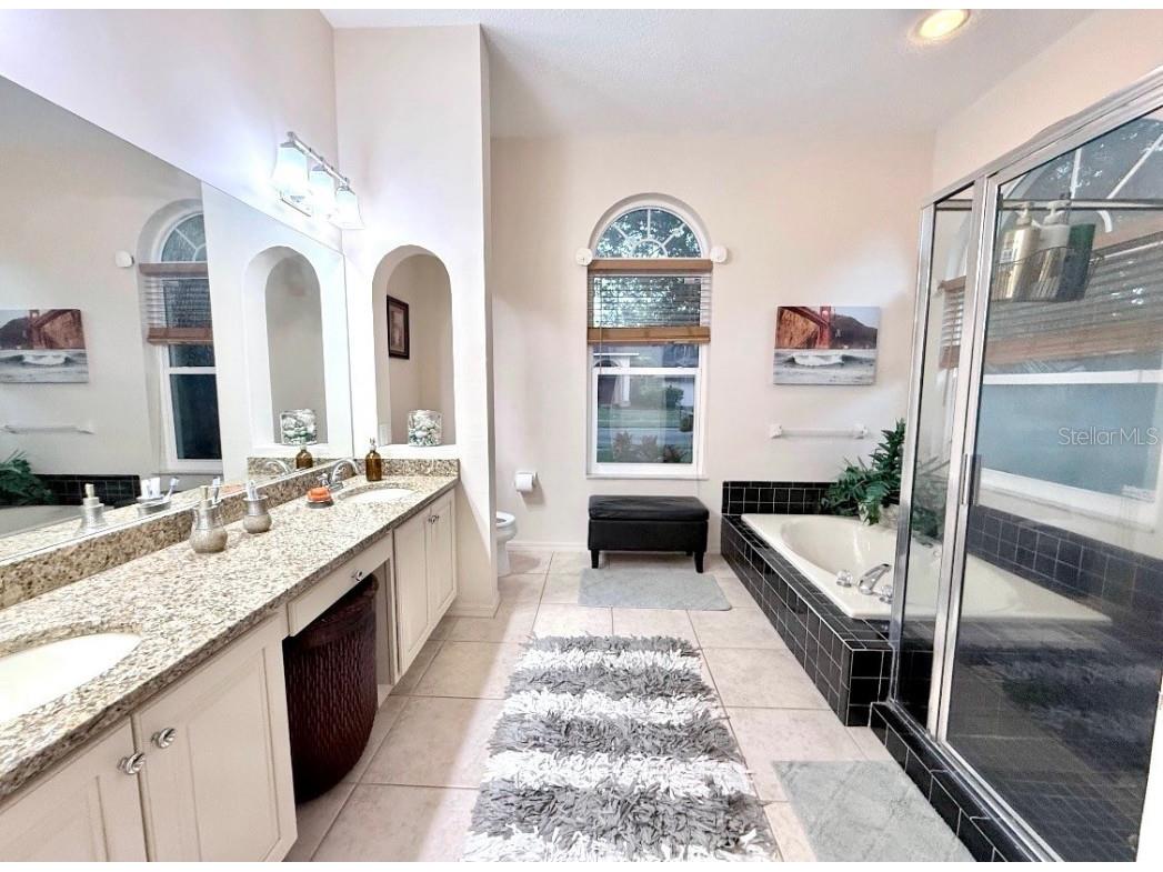 4757 Brayton Terrace S Palm Harbor FL 34685 TB8436593 image36