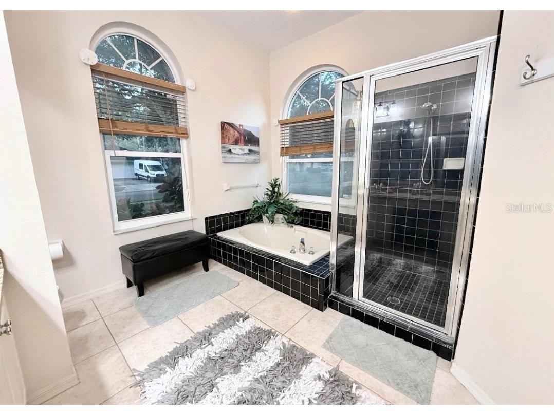 4757 Brayton Terrace S Palm Harbor FL 34685 TB8436593 image37