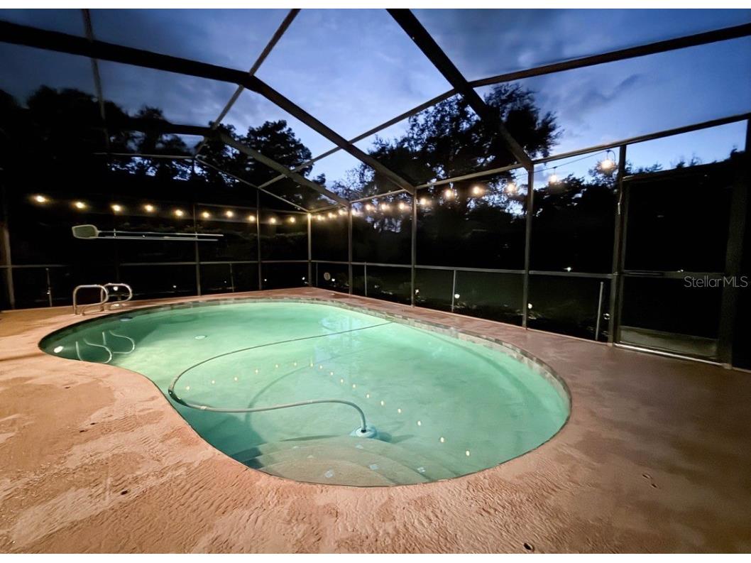 4757 Brayton Terrace S Palm Harbor FL 34685 TB8436593 image50