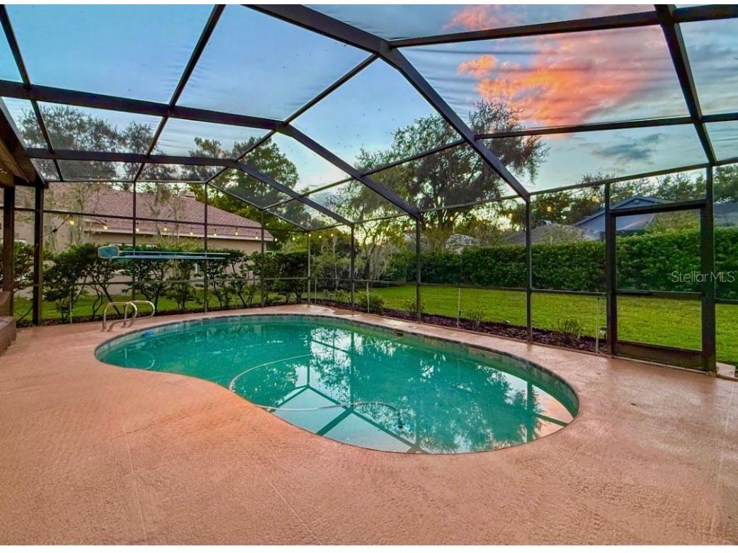 4757 Brayton Terrace S Palm Harbor FL 34685 TB8436593 image51