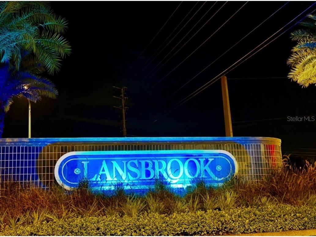 4757 Brayton Terrace S Palm Harbor FL 34685 TB8436593 image59