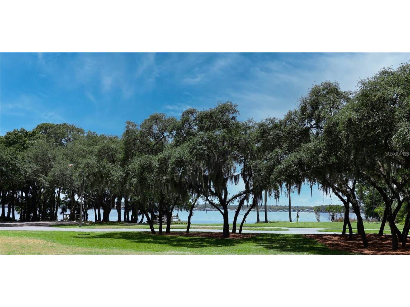 4757 Brayton Terrace S Palm Harbor FL 34685 TB8436593 image62