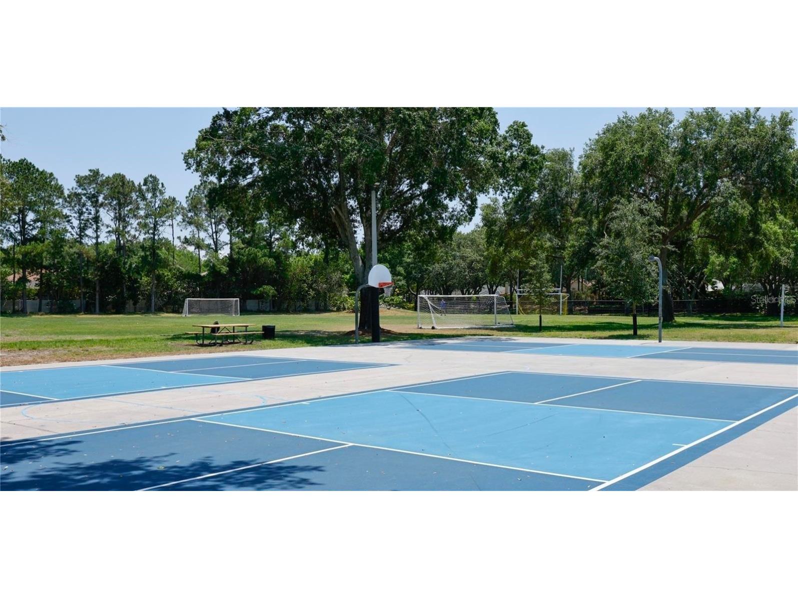 4757 Brayton Terrace S Palm Harbor FL 34685 TB8436593 image63