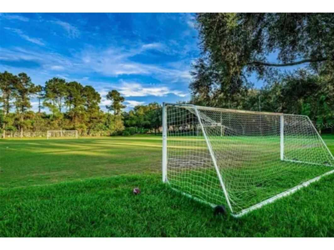 4757 Brayton Terrace S Palm Harbor FL 34685 TB8436593 image64