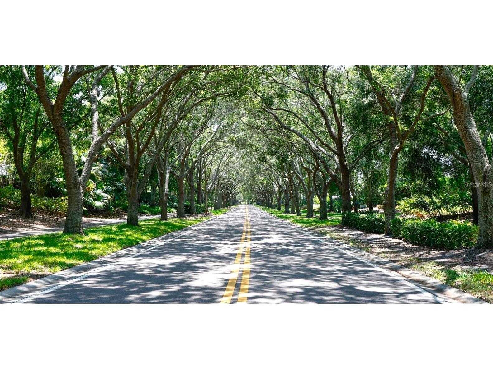 4757 Brayton Terrace S Palm Harbor FL 34685 TB8436593 image65