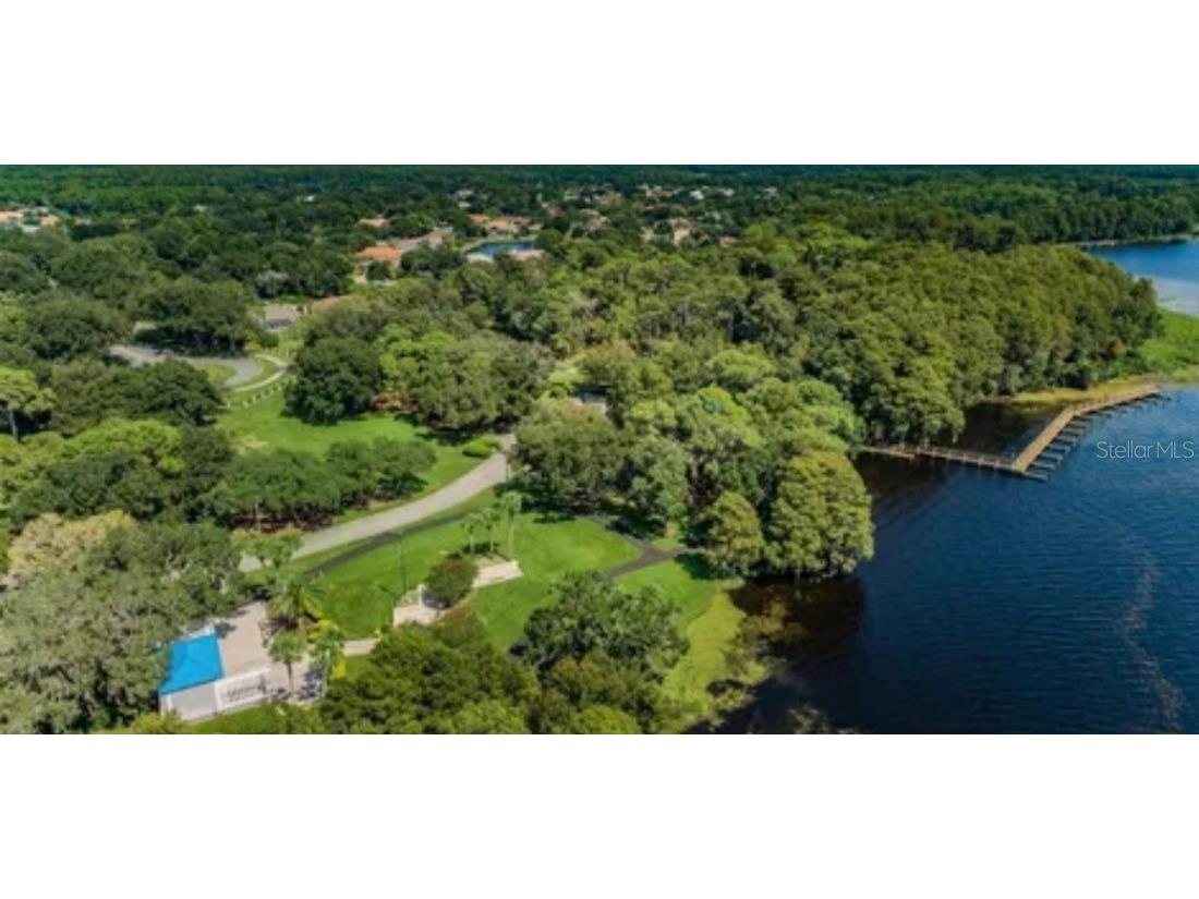 4757 Brayton Terrace S Palm Harbor FL 34685 TB8436593 image66