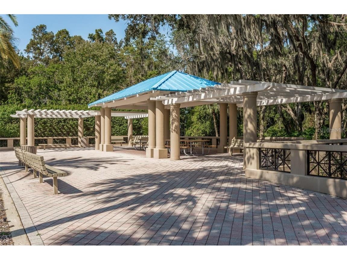 4757 Brayton Terrace S Palm Harbor FL 34685 TB8436593 image70