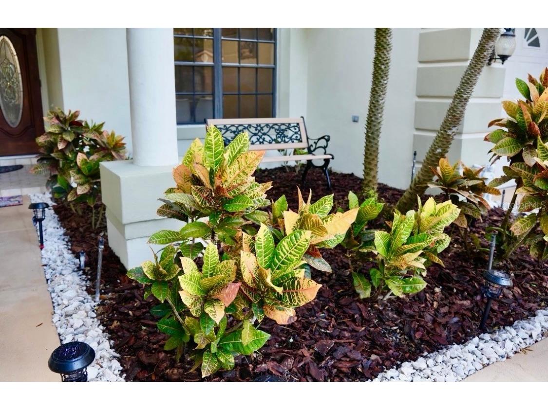 4757 Brayton Terrace S Palm Harbor FL 34685 TB8436593 image8