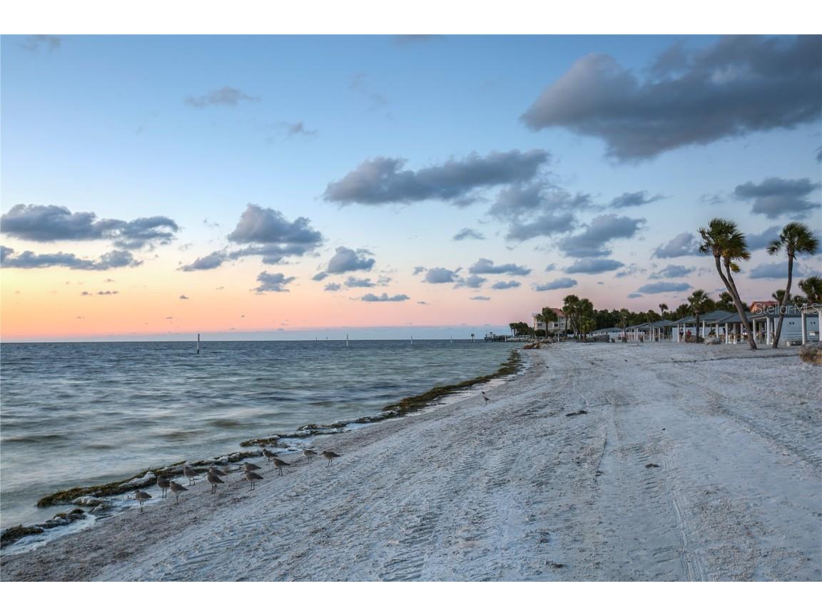 4758 Jasper Drive #206 New Port Richey FL 34652 TB8453956 image28