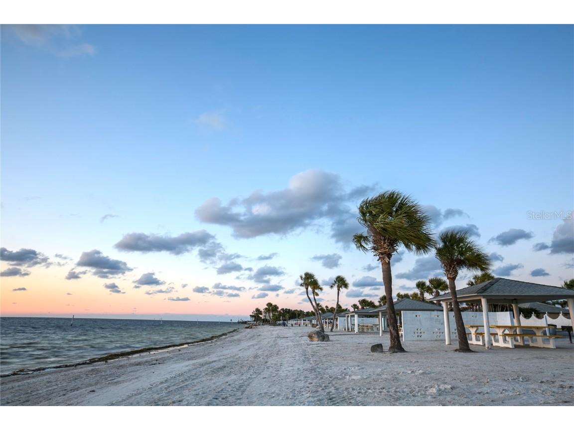 4758 Jasper Drive #206 New Port Richey FL 34652 TB8453956 image31