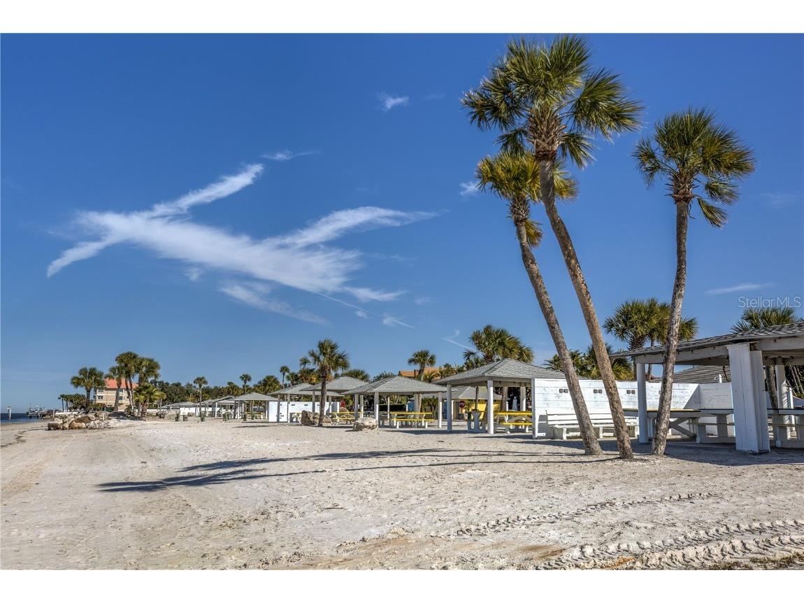 4758 Jasper Drive #206 New Port Richey FL 34652 TB8453956 image32