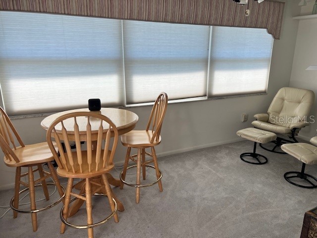 4758 Jasper Drive #206 New Port Richey FL 34652 TB8453956 image5