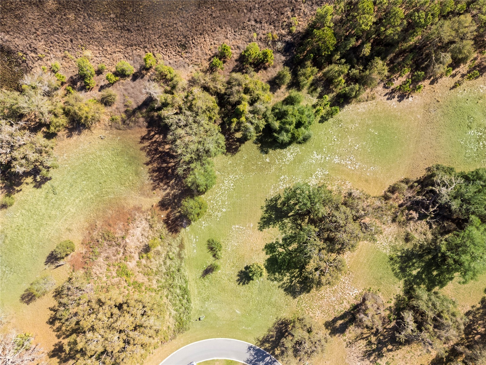 476 Long And Winding Rd Howey In The Hills FL 34737 G5110825 image14