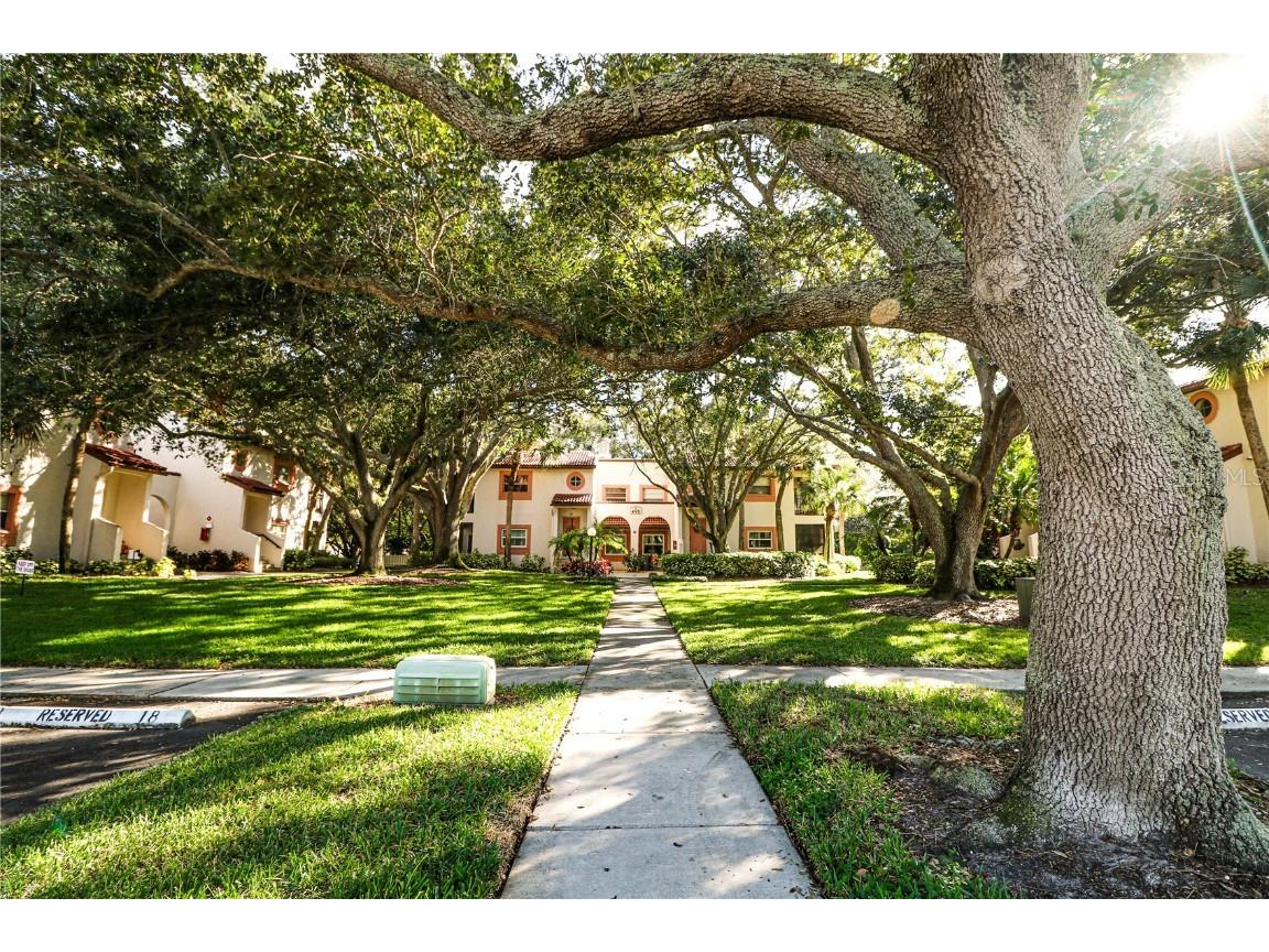 476 Santa Cruz Place NE #B Saint Petersburg FL 33703 TB8408194 image27