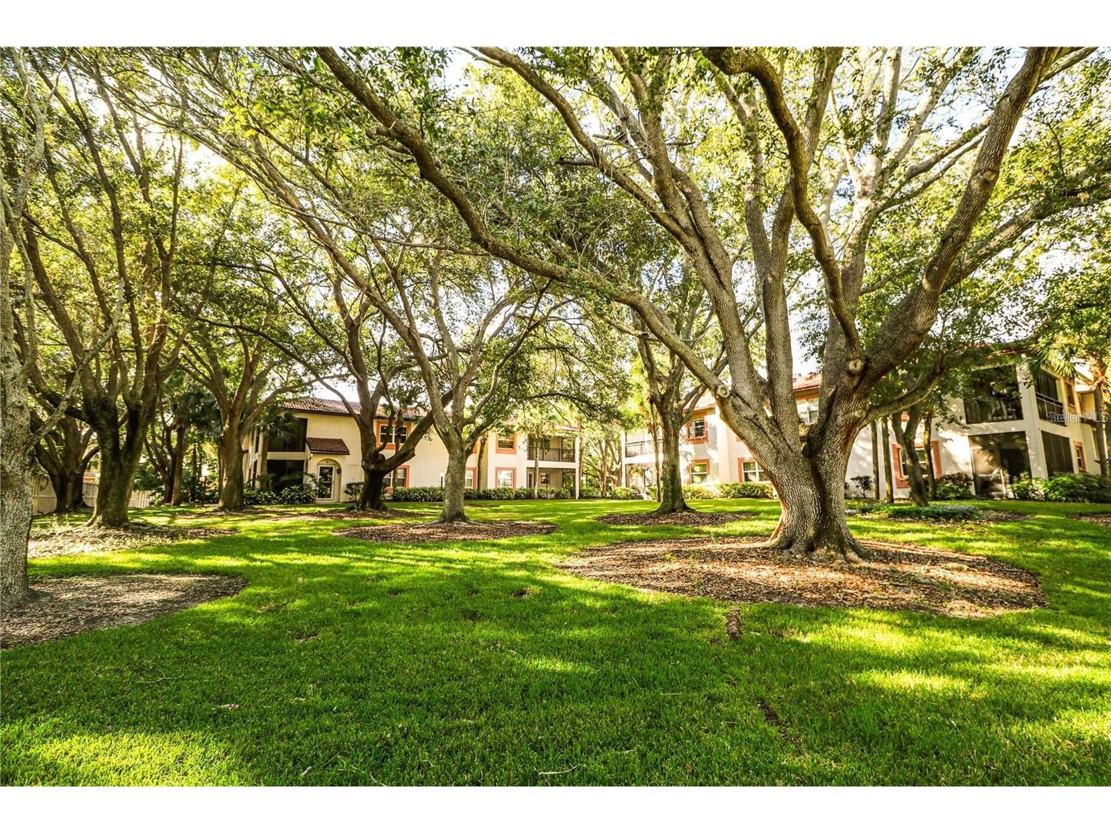 476 Santa Cruz Place NE #B Saint Petersburg FL 33703 TB8481168 image26