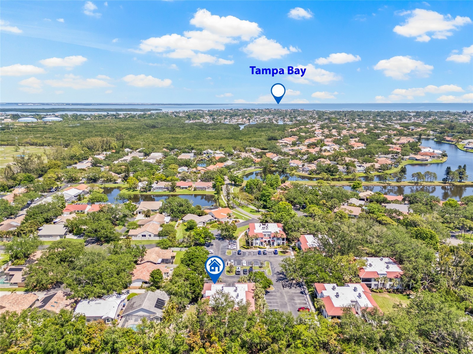 476 Santa Cruz Place NE #C Saint Petersburg FL 33703 TB8512797 image44