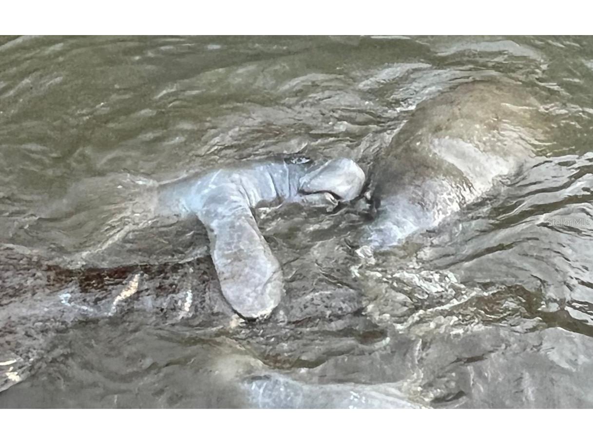 4760 Gulf Of Mexico Dr. Villa 7 Longboat Key FL 34228 - SARASOTA BAY ICW A4671823 image45