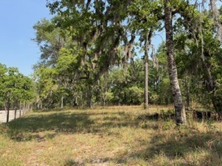 4760 NW 55th Avenue Bell FL 32619 GC539792 image32