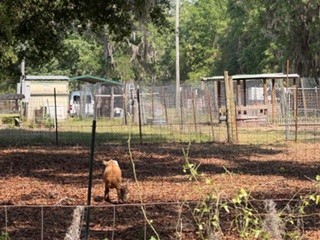 4760 NW 55th Avenue Bell FL 32619 GC539792 image44