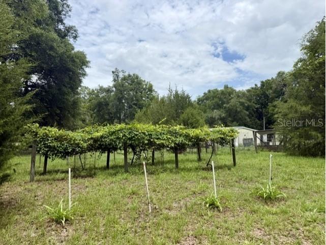 4760 NW 55th Avenue Bell FL 32619 GC539792 image48