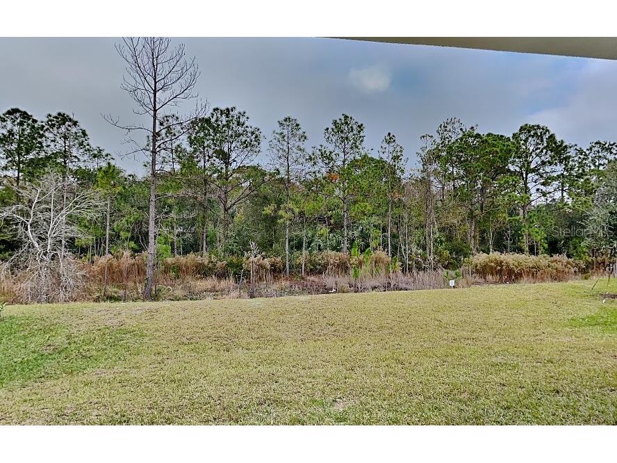 4760 Yellow Elder Way Kissimmee FL 34758 O6350722 image18