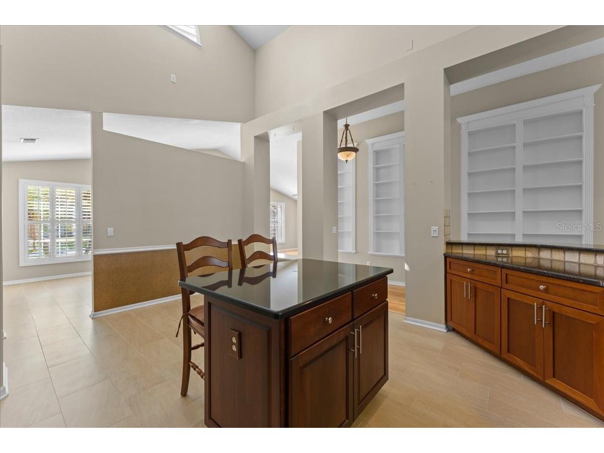 4761 Stonebriar Drive Oldsmar FL 34677 TB8509685 image19