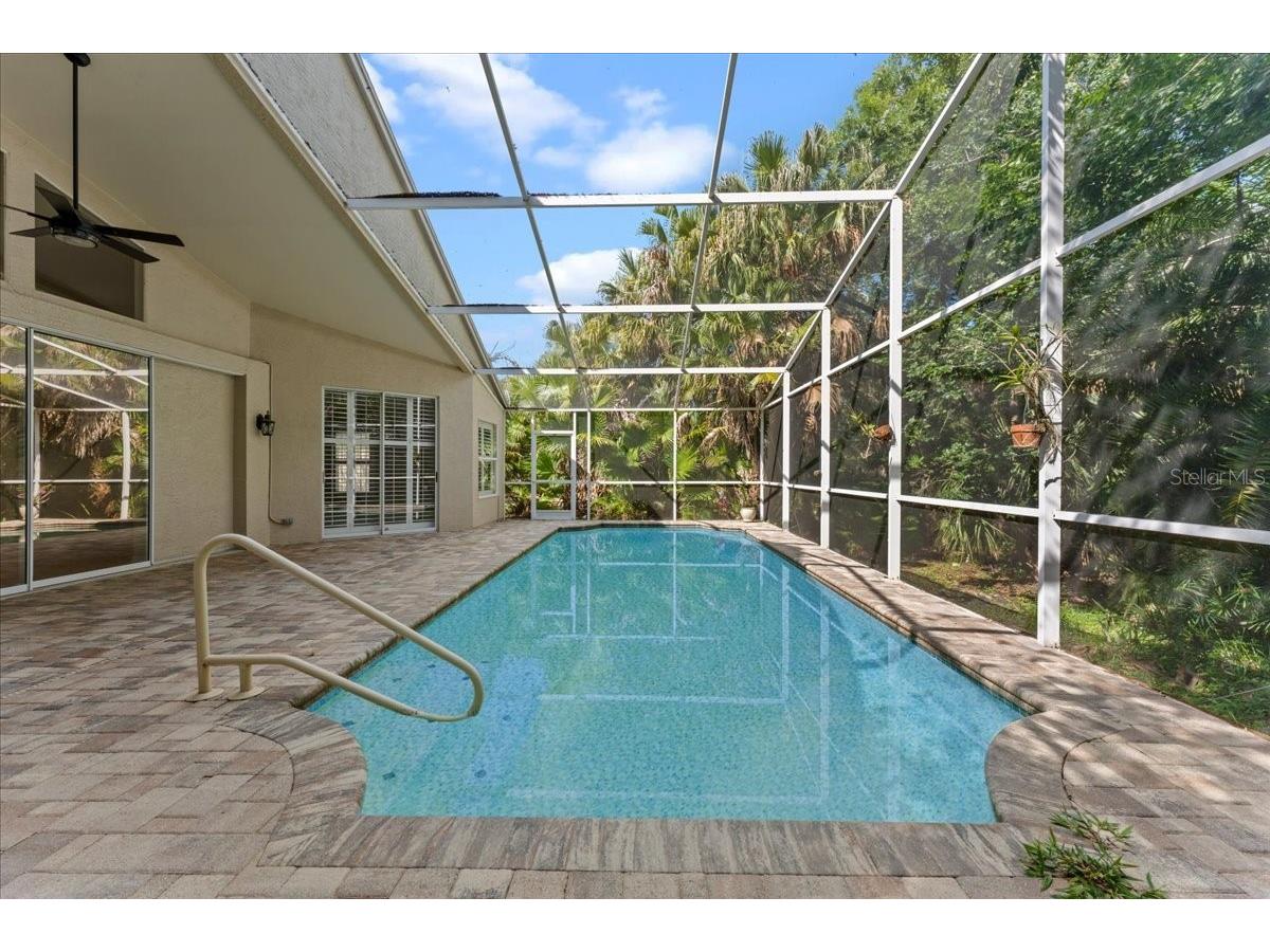 4761 Stonebriar Drive Oldsmar FL 34677 TB8509685 image24