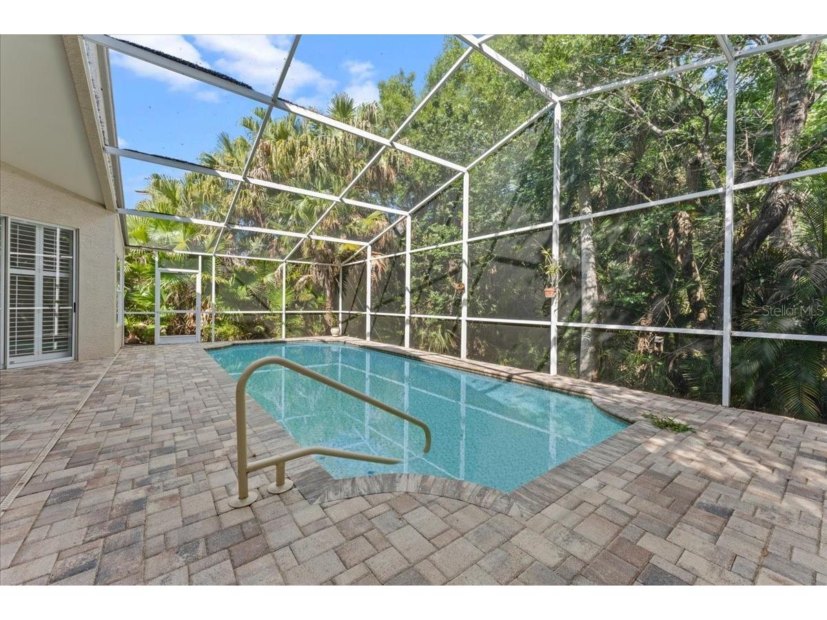 4761 Stonebriar Drive Oldsmar FL 34677 TB8509685 image25