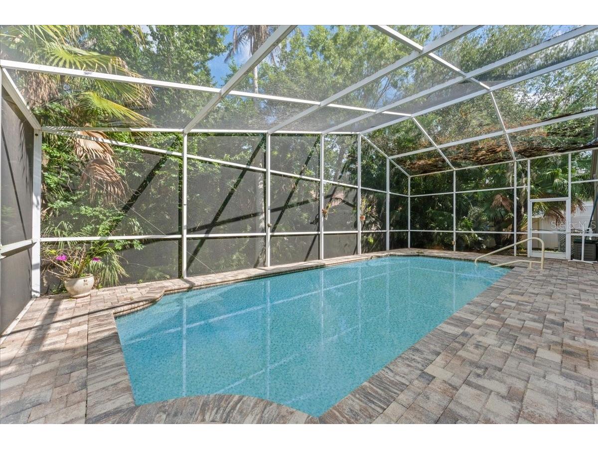 4761 Stonebriar Drive Oldsmar FL 34677 TB8509685 image27