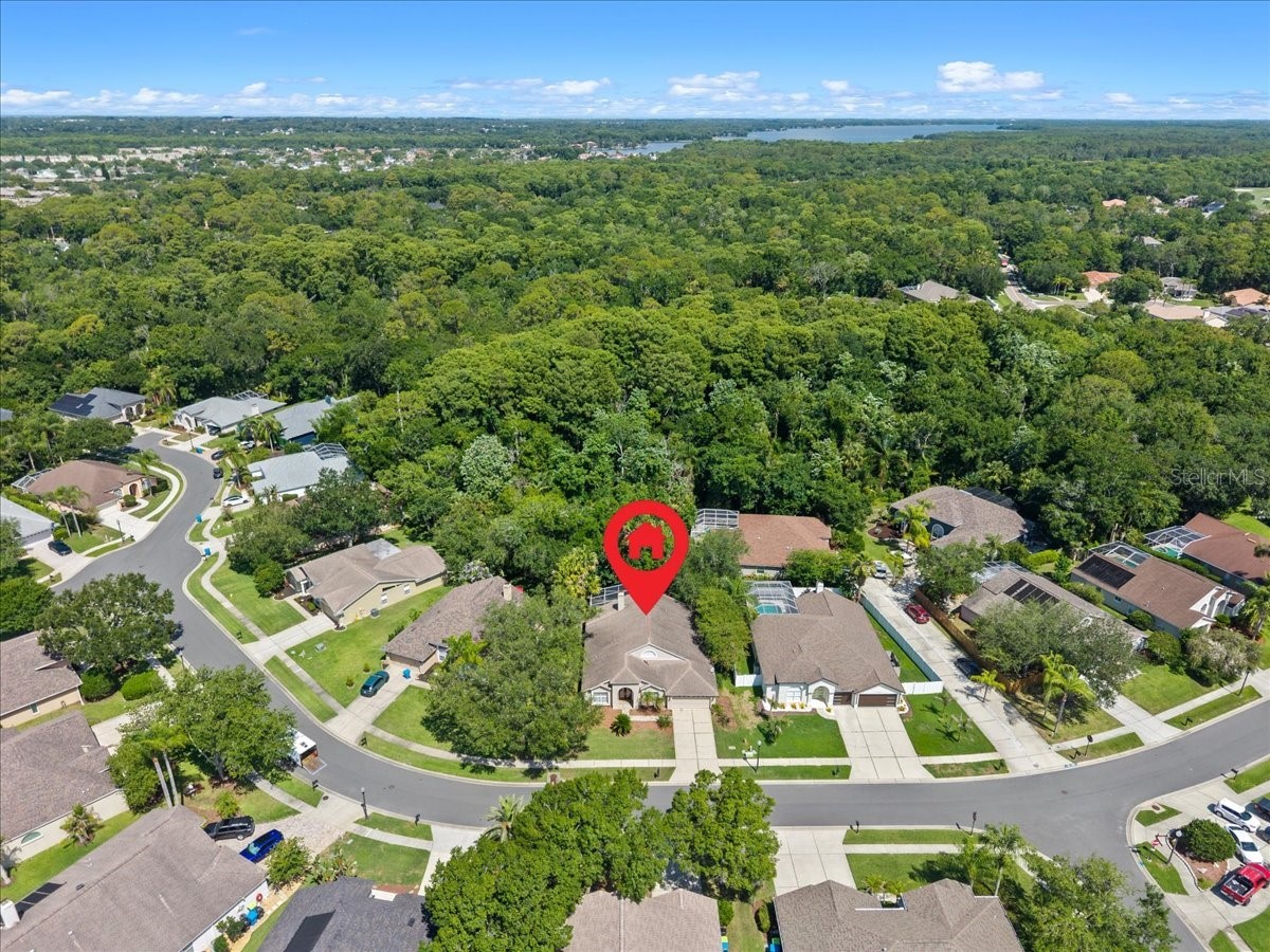 4761 Stonebriar Drive Oldsmar FL 34677 TB8509685 image56