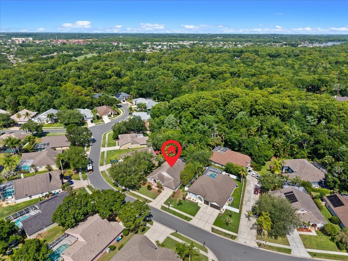 4761 Stonebriar Drive Oldsmar FL 34677 TB8509685 image57