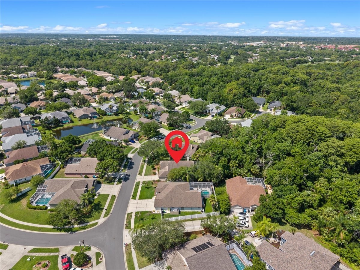 4761 Stonebriar Drive Oldsmar FL 34677 TB8509685 image58