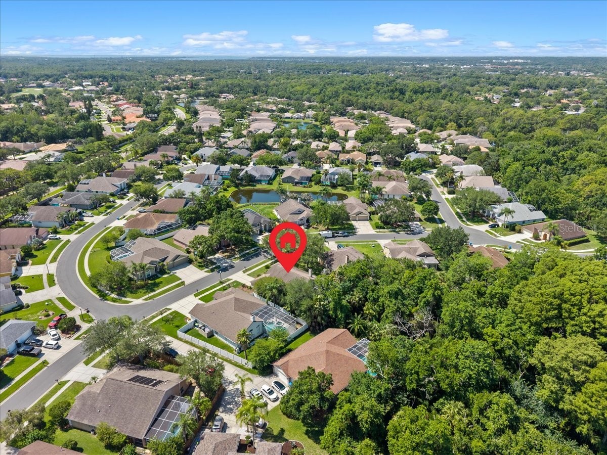4761 Stonebriar Drive Oldsmar FL 34677 TB8509685 image59