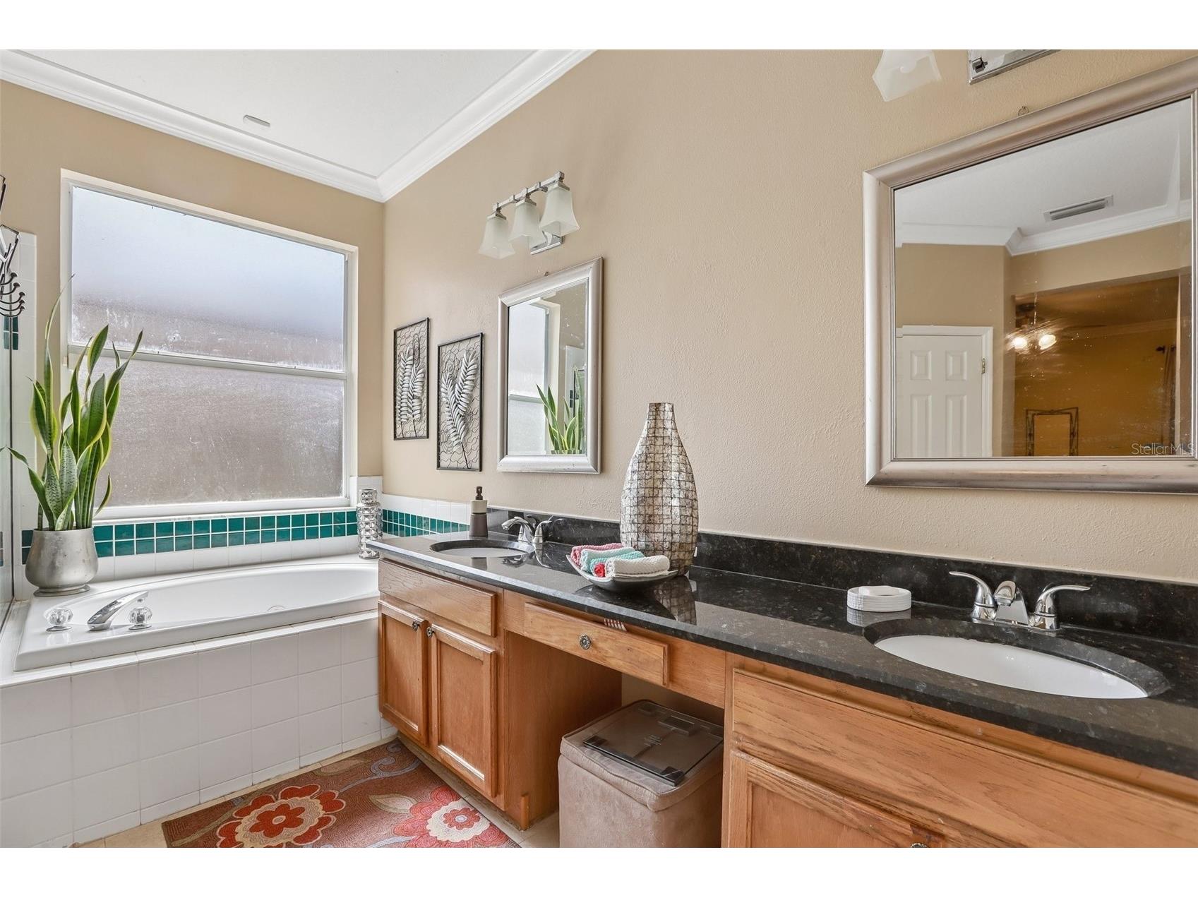 4761 Whispering Wind Avenue Tampa FL 33614 TB8516320 image21