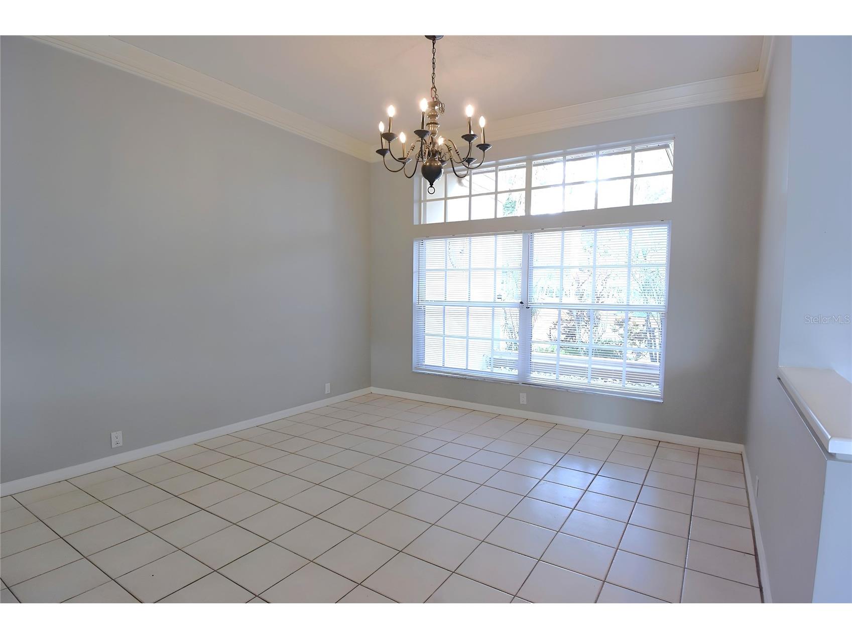 4763 Brayton Terrace N Palm Harbor FL 34685 W7887047 image11