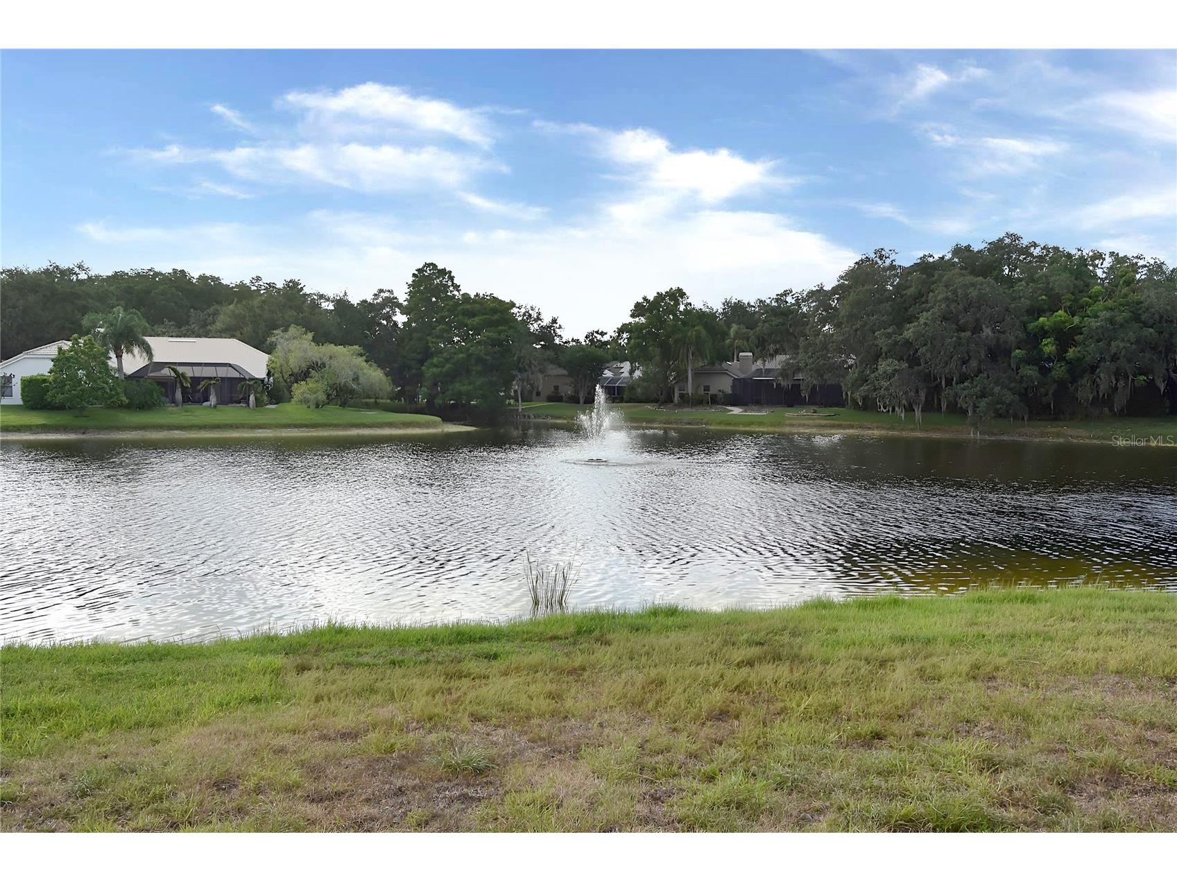 4763 Brayton Terrace N Palm Harbor FL 34685 W7887047 image39