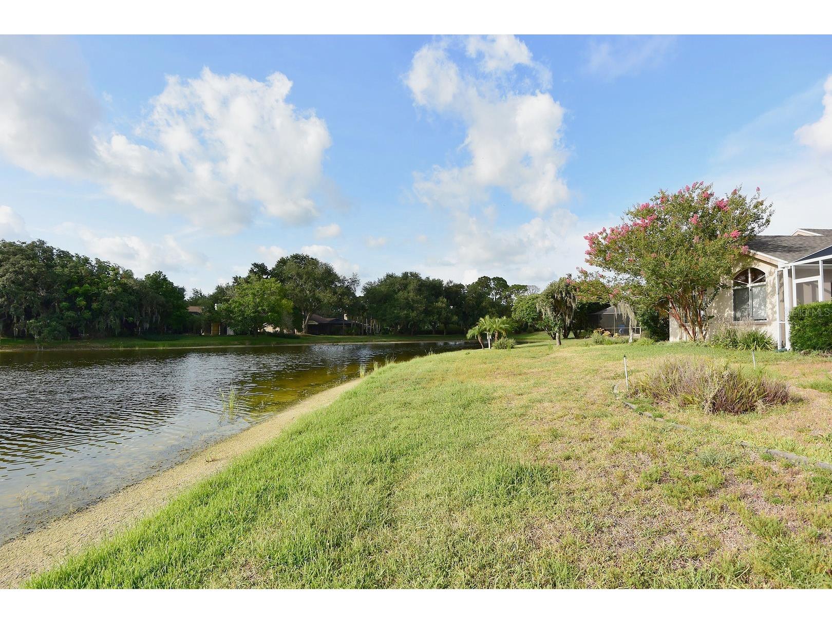 4763 Brayton Terrace N Palm Harbor FL 34685 W7887047 image42