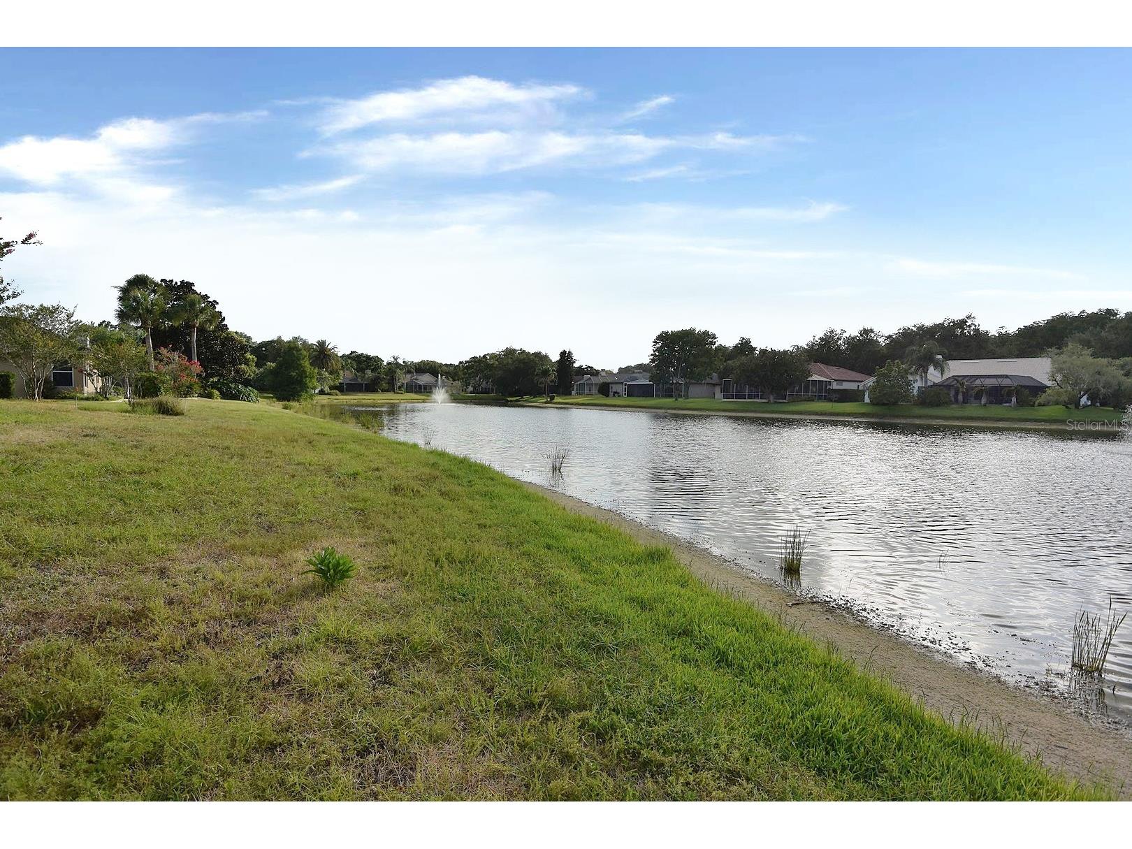 4763 Brayton Terrace N Palm Harbor FL 34685 W7887047 image43