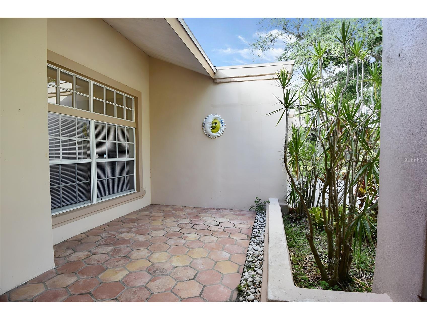 4763 Brayton Terrace N Palm Harbor FL 34685 W7887047 image6